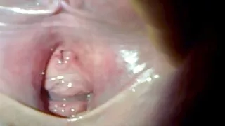 Due bionde morbide fighe e video porno italiani reali una nera.